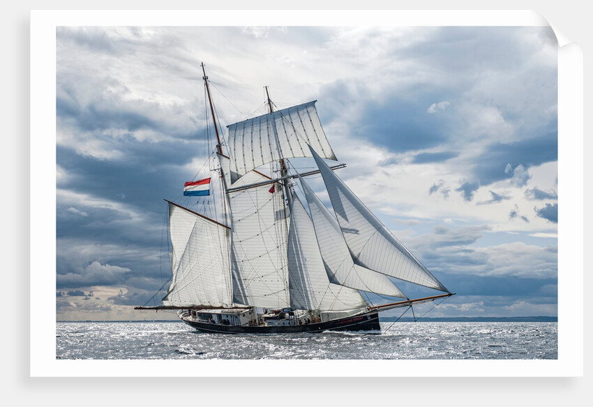 Schooner Wylde Swan by Richard Sibley
