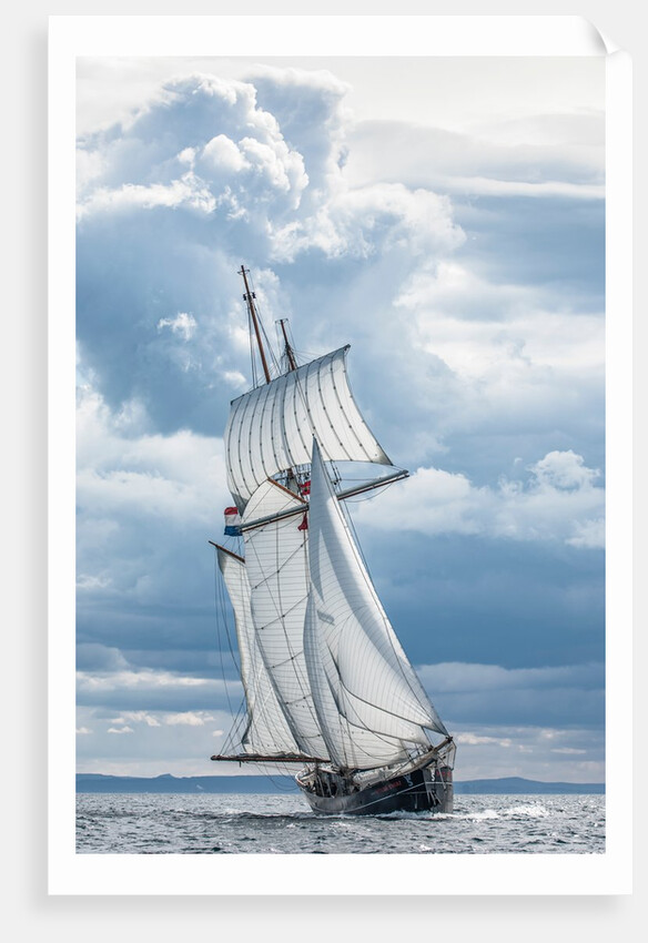 Schooner Wylde Swan by Richard Sibley