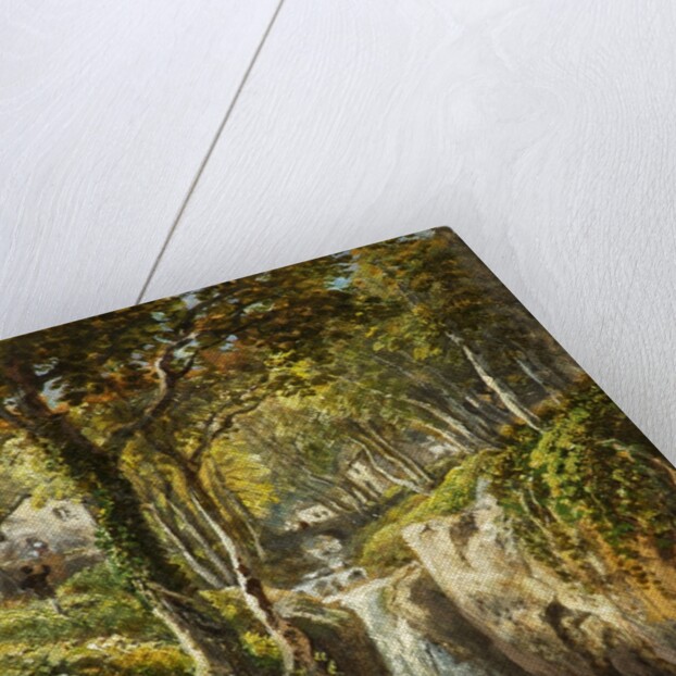 Lower Cascade, Rydal Peak by James Baker Pyne