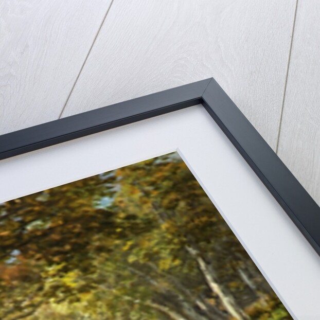 Lower Cascade, Rydal Peak by James Baker Pyne