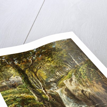 Lower Cascade, Rydal Peak by James Baker Pyne