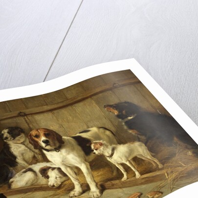 The Dogs' Home by Walter Hunt