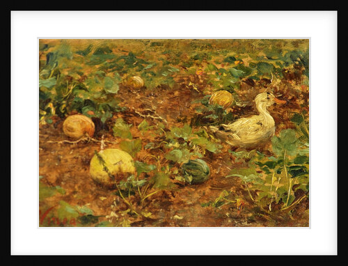 Vegetable Patch with Duck by Francesco Vinea