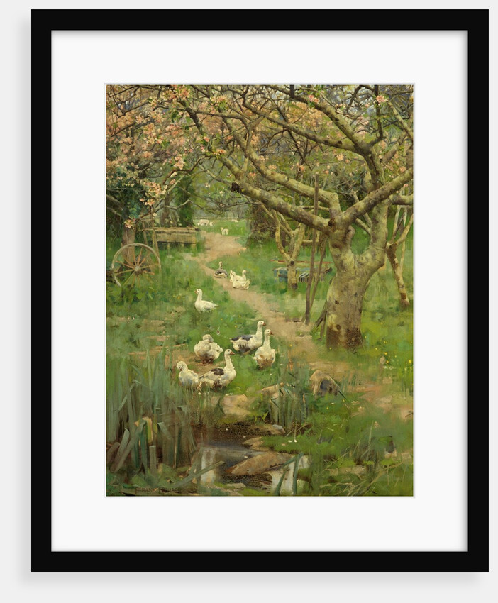 In a Cornish Orchard by Frank Richards