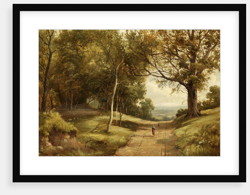 Sherwood Forest by Alfred H. Vickers