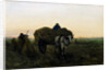 Loading the Wagon by Med Weele