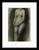 Standing Female Nude by Thomas Bromley Blacklock