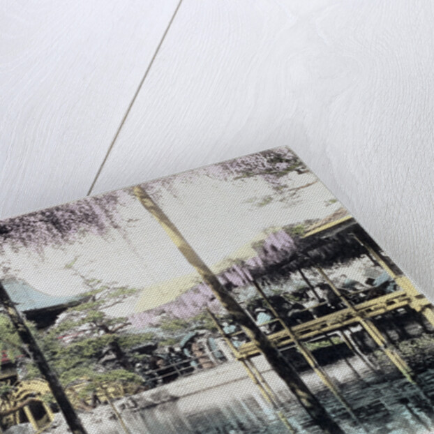 Wisteria blossom over the pond in the Kameido Temple Gardens by Anonymous