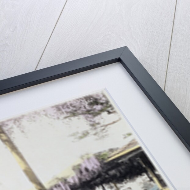 Wisteria blossom over the pond in the Kameido Temple Gardens by Anonymous