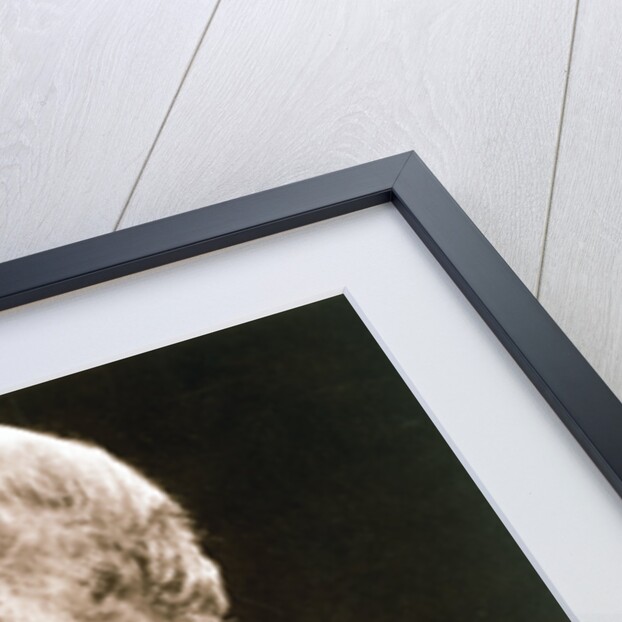 Charles Darwin, British naturalist by Julia Margaret Cameron