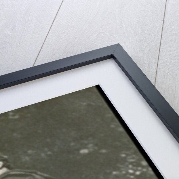 James Abbott McNeill Whistler, American-born British artist by Anonymous