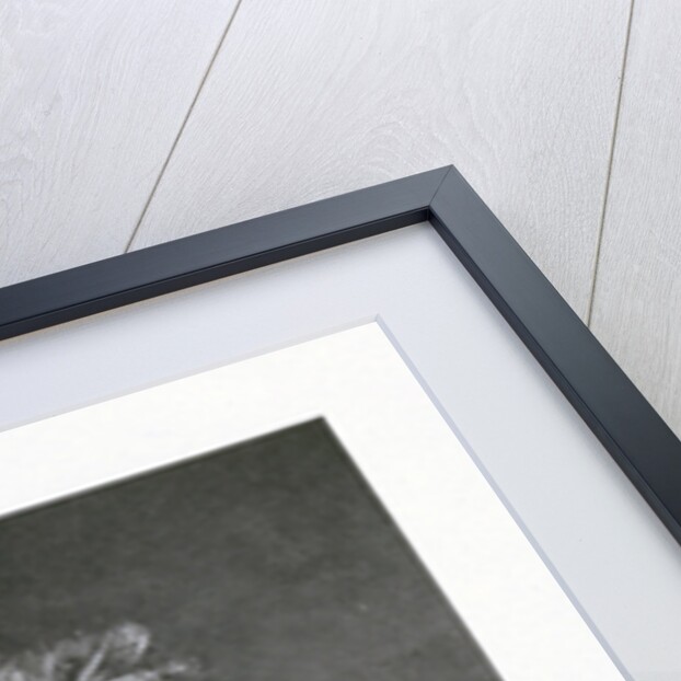 Cecil H Meares, a member of Captain Scott's Antarctic expedition by Herbert Ponting