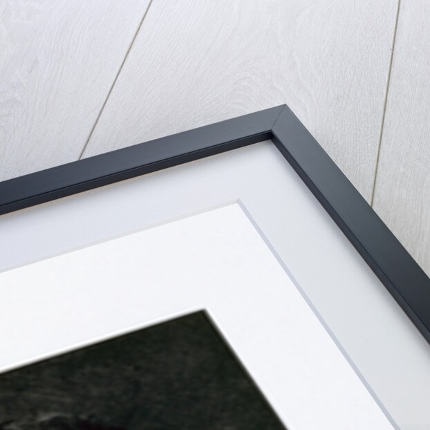 Petty Officer Patrick Keohane, a member of Captain Scott's Antarctic expedition by Herbert Ponting