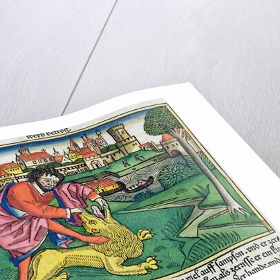 Judges 14:5-9: Samson slaying the lion by Anonymous