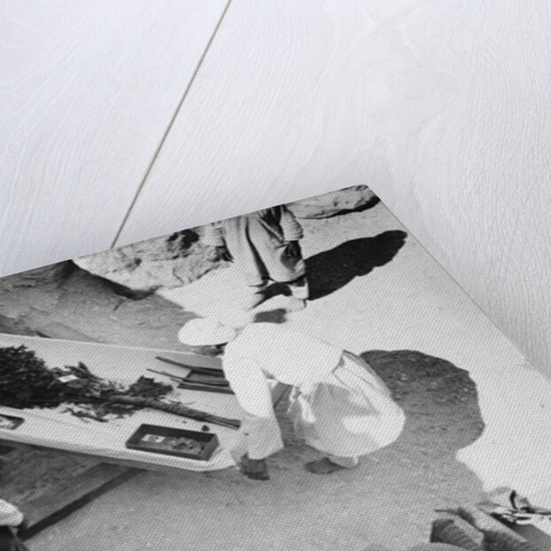 Funeral bouquet being removed from the tomb of Tutankhamun by Harry Burton