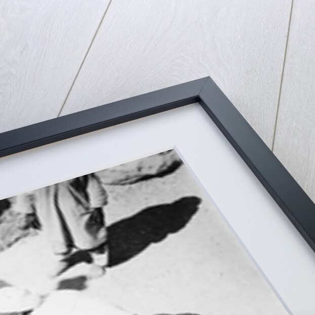 Funeral bouquet being removed from the tomb of Tutankhamun by Harry Burton