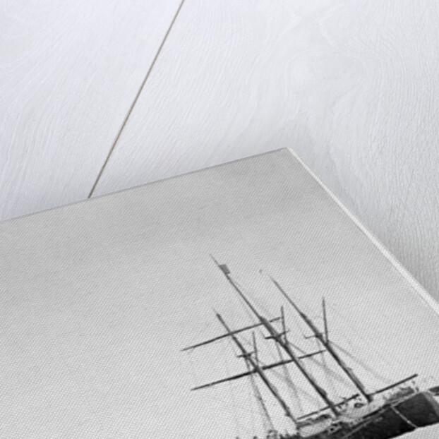 The 'Fram' in the Bay of Whales, Antarctica by Anonymous