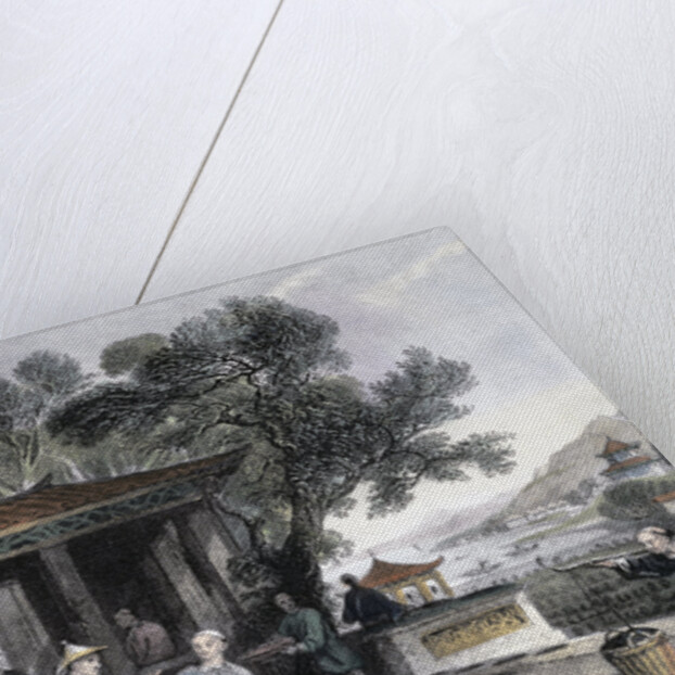 The Culture and Preparation of Tea by Thomas Allom