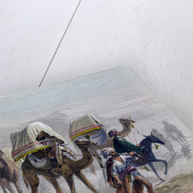 The Camel Train by Rouargue Brothers