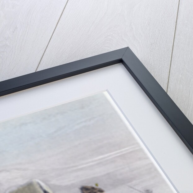 The Camel Train by Rouargue Brothers