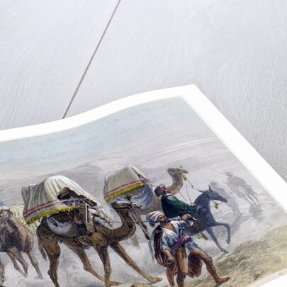 The Camel Train by Rouargue Brothers