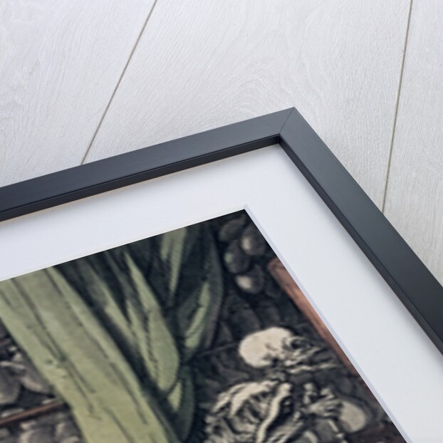 I have a secret art to cure/ Each malady which men endure by Thomas Rowlandson