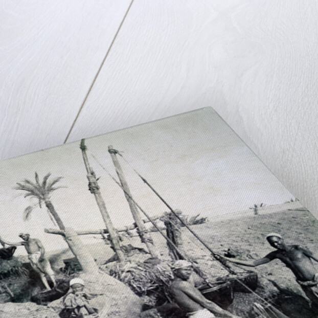 Shadufs in Upper Egypt by G Lekegian
