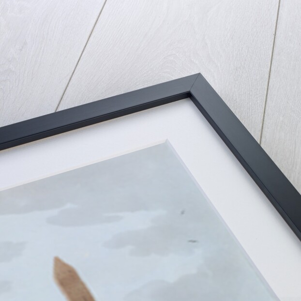 The Obelisks at Alexandria, called Cleopatra's Needles by Thomas Milton