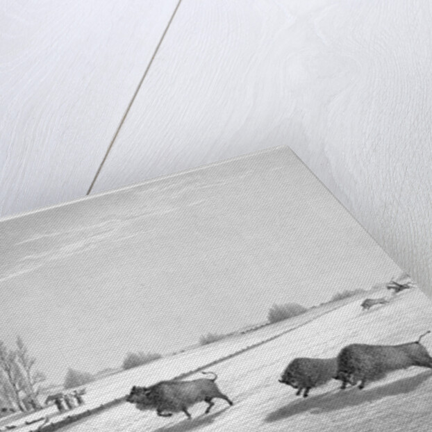 A buffalo pound by Edward Finden