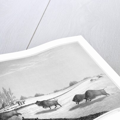 A buffalo pound by Edward Finden