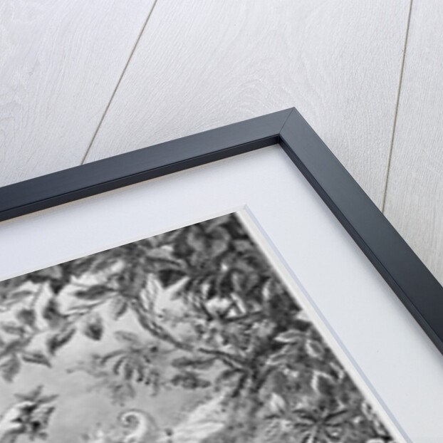 Oberon and Titania by Anonymous