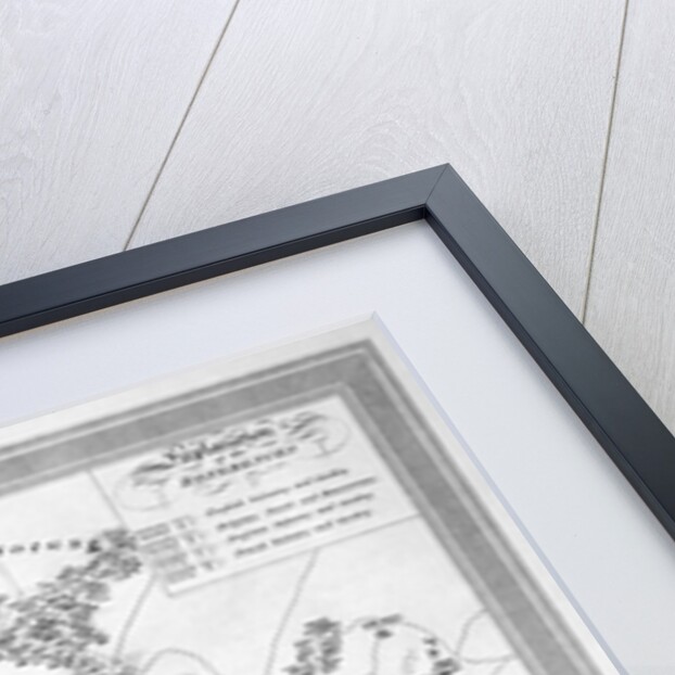 A Plan of the Glorious Battle of Waterloo by Anonymous