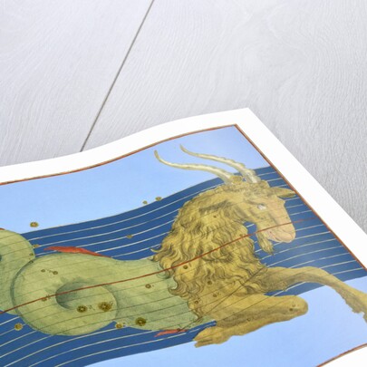 Constellation of Capricorn by Alexander Mair