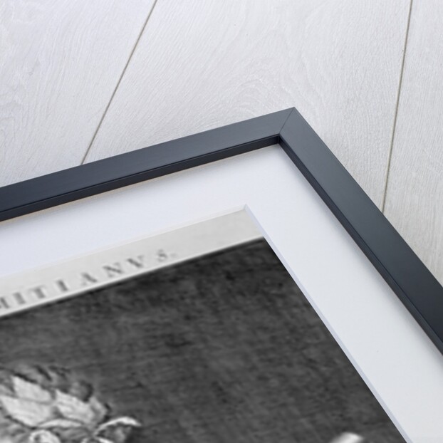 Flavius Domitian by Aegidius Sadeler II