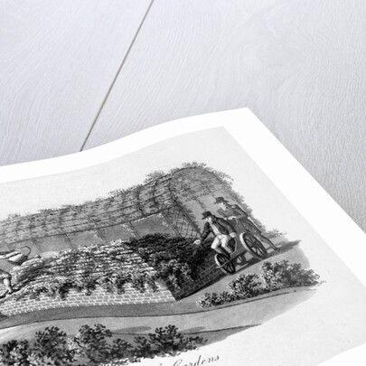 Luxury of Gardens by Humphry Repton