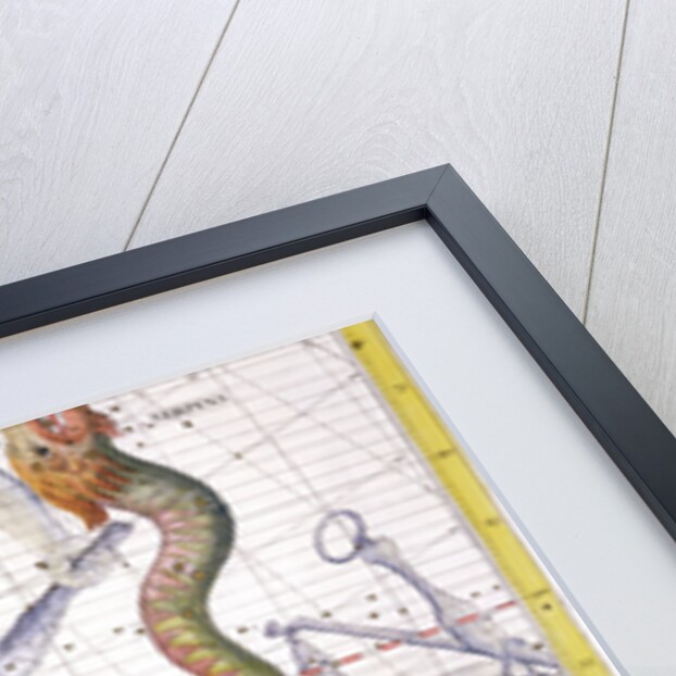 Constellation of Ophiucus by Anonymous