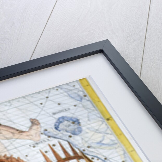 Constellations of Hercules by Anonymous