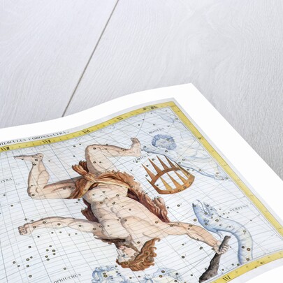Constellations of Hercules by Anonymous