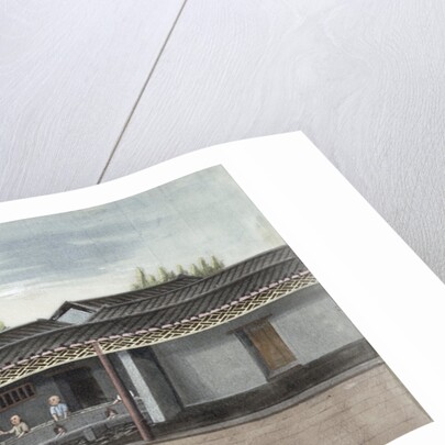 Drying tea leaves by Anonymous