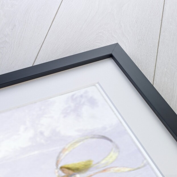 The Fairy Queen's Carriage by Richard Doyle