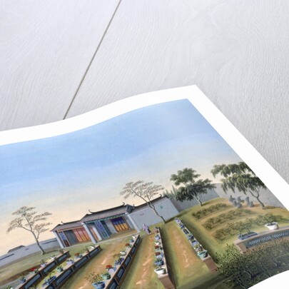 Nursery garden by Anonymous