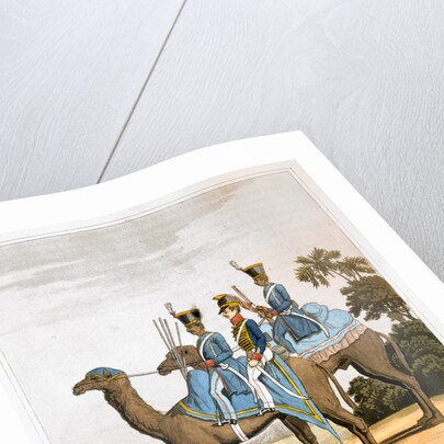 Rocket Corps and Dromedary Corps by Havell & Son