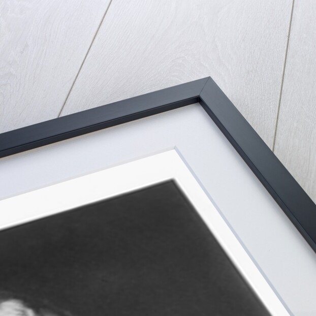 William Henry Harrison by Anonymous