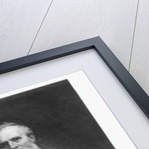 Rutherford B Hayes by Anonymous