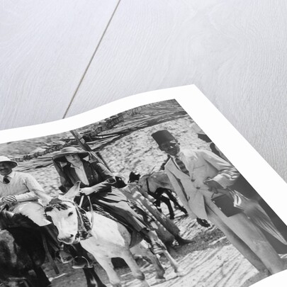 Visitors to the Tomb of Tutankhamun by Harry Burton