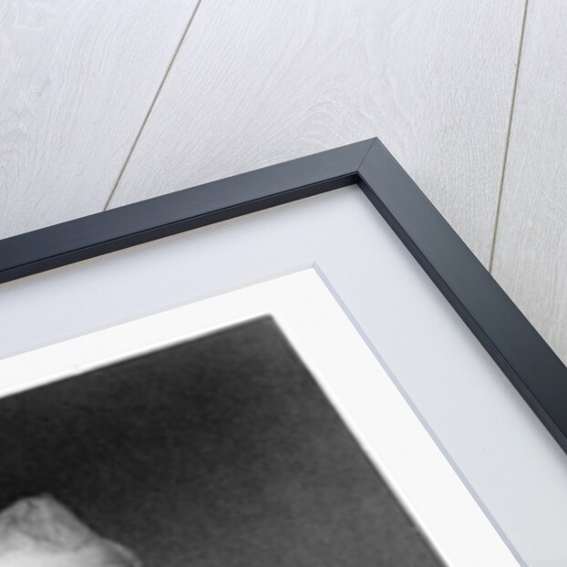 James Buchanan by Henry Bryan Hall I