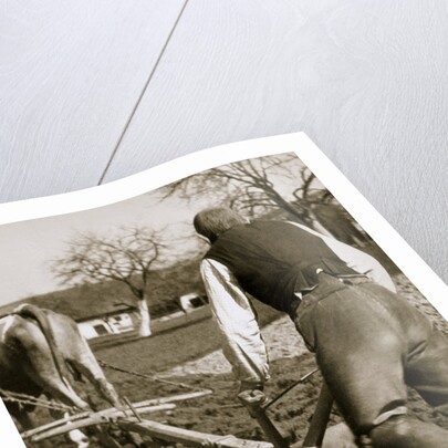 A farmer at work, ploughing a field by Anonymous