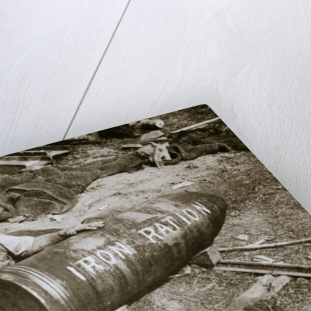 A huge shell, weighing 1400lb by Anonymous