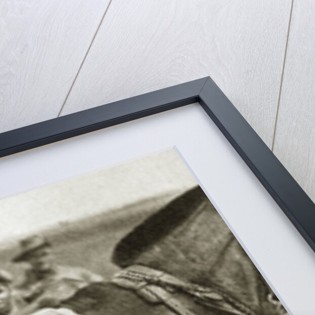 The mascot of the Anzacs by Anonymous