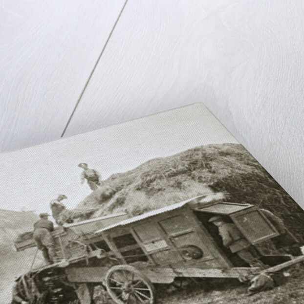 Threshing for straw for soldiers' use by Anonymous